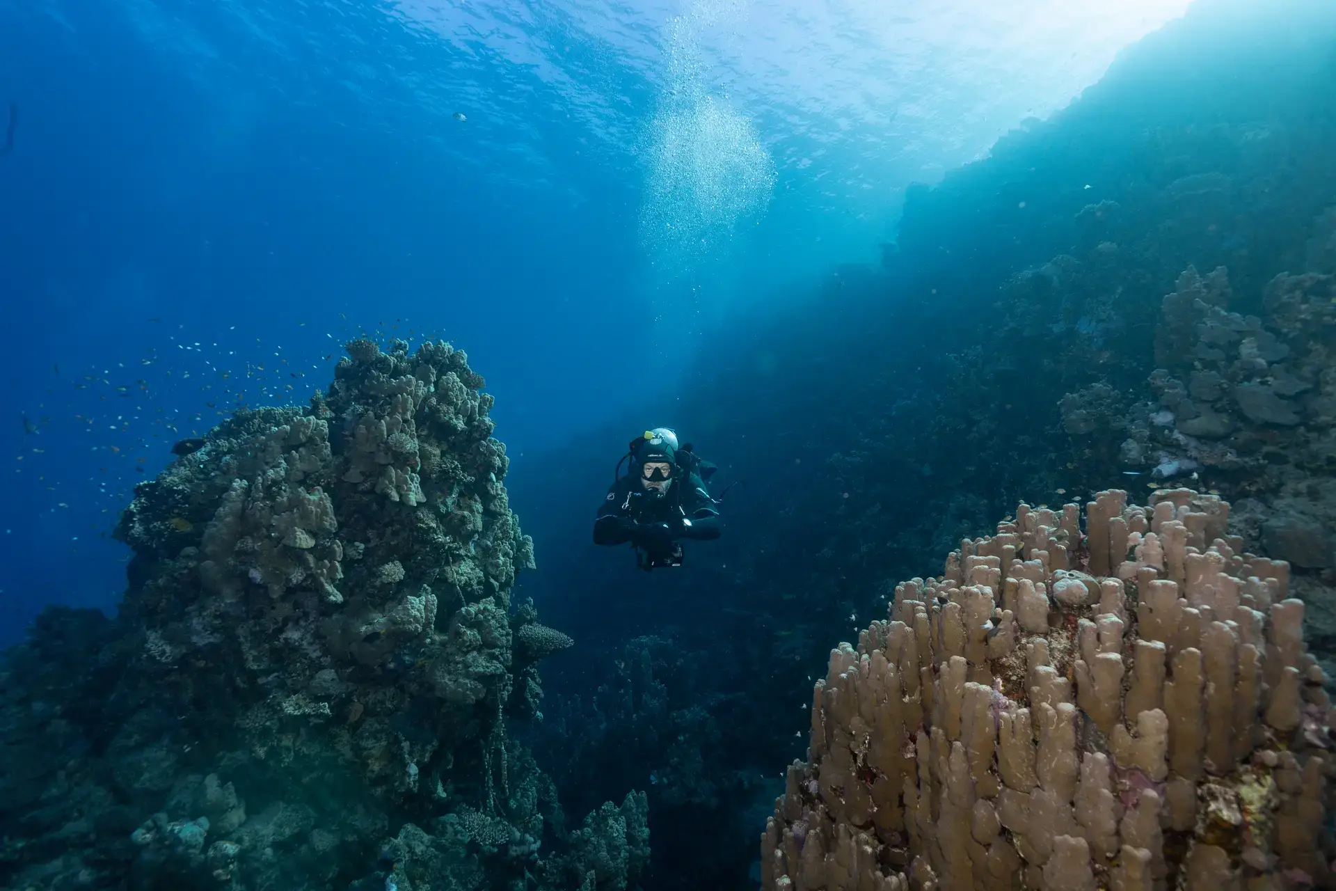 Diver at Coral Garden