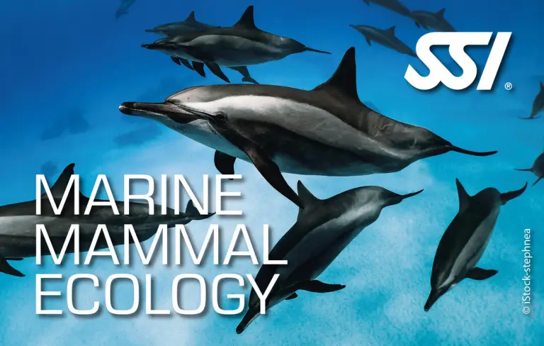 SSI Marine Mammal Ecology